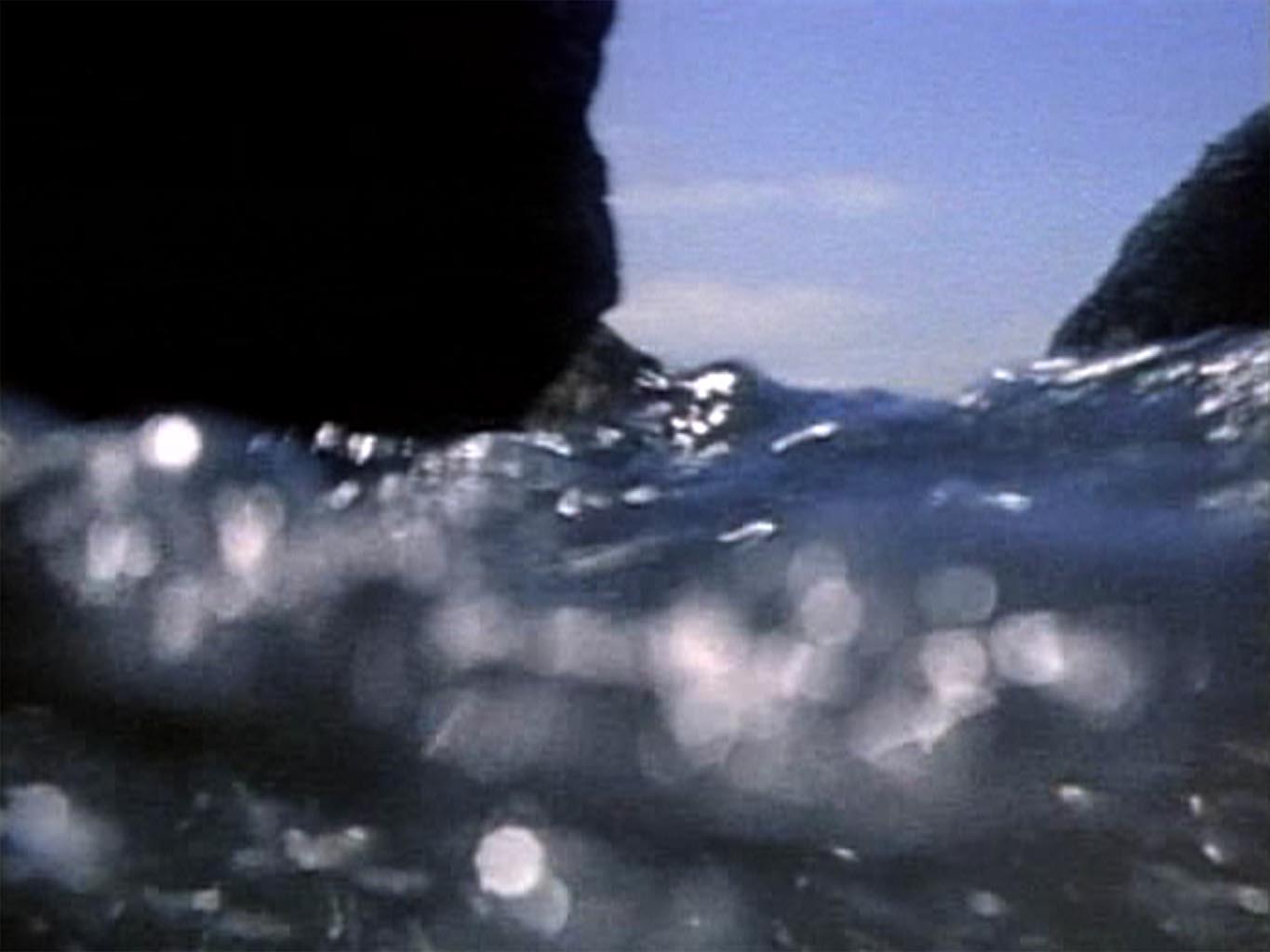 Image from Pond and Waterfall - film by Barbara Hammer